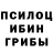 Галлюциногенные грибы прущие грибы valera vystavkin