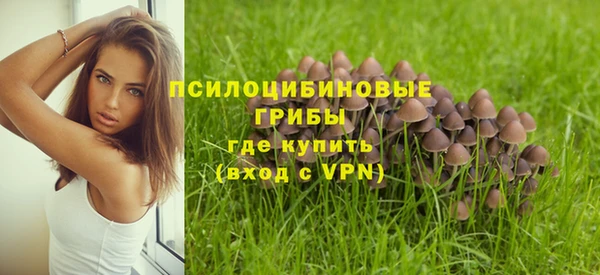 меф Армянск