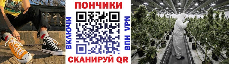 Купить закладки  Сенгилей  Бошки Шишки White Widow 